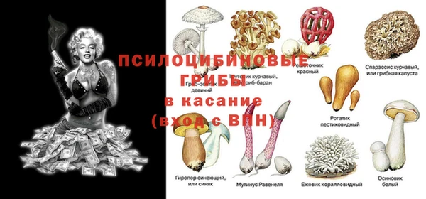 марки nbome Нефтекумск