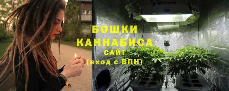 купить   Покачи  Шишки марихуана SATIVA & INDICA 